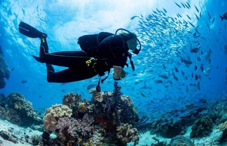 Faro กาโบเดปาลอส ภายนอก รูปภาพ